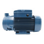 PQ 3000 - Elettropompa con girante periferica trifase da 3 HP OFFERTA Pedrollo - 4