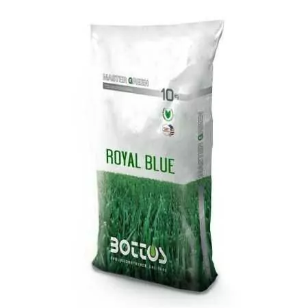 Royal Blue - Sementi per prato da 10 kg