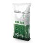 Royal Blue - 10kg Lawn Seed