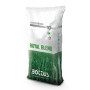 Royal Blend - Sementi per prato da 10 Kg