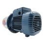 4CR 100X - Elettropompa centrifuga multigirante trifase da 1 HP DANNEGGIATA Pedrollo - 3