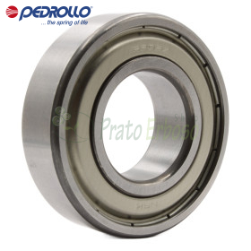 6205 ZZ - Kugellager 25x52x15 mm Pedrollo - 1