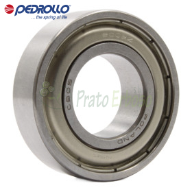6003 ZZ-C3 - Roulement à billes 17x35x10 mm Pedrollo - 1