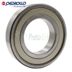6212 ZZ-C3 - Cuscinetto a sfera 60x110x22 mm Pedrollo - 1