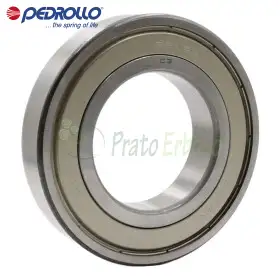 6212 ZZ-C3 - Kushineta topash 60x110x22 mm Pedrollo - 1