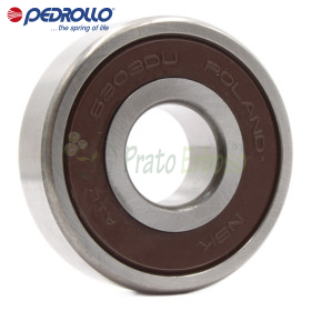 6303 2RS-C3 - Roulement à billes 17x47x14 mm Pedrollo - 1