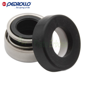 AR-12 V - 12 mm Gleitringdichtung Pedrollo - 1