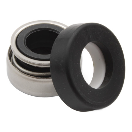 AR-12 V - 12 mm mechanical seal Pedrollo - 1