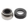 AR-12 V - 12 mm mechanical seal Pedrollo - 3