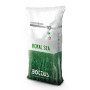 Royal Sea - 10 kg Semillas de Césped OFERTA