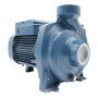 HFm 5AM - DAMAGED 2 HP single-phase centrifugal pump Pedrollo - 1