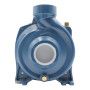 HFm 5AM - DAMAGED 2 HP single-phase centrifugal pump Pedrollo - 2