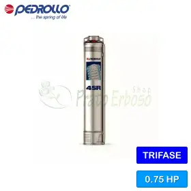 4SR 6/4 S-HYD - Bomba sumergible 150 litros OFERTA Pedrollo - 1