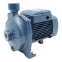 CPm 100 - Elettropompa centrifuga monofase da 0.33 HP
