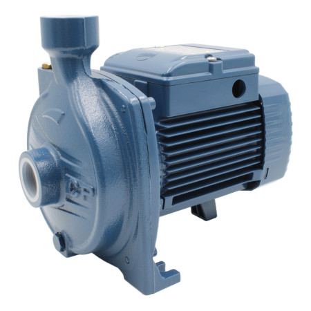 CPm 100 - Single-phase centrifugal electric pump 0.33 HP Pedrollo - 1