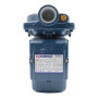 CPm 100 - Elettropompa centrifuga monofase da 0.33 HP Pedrollo - 3