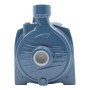 Pompă electrică centrifugă monofazată CPm 100 - 0,33 CP Pedrollo - 4