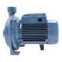 Pompë elektrike centrifugale njëfazore CPm 100 - 0,33 HP Pedrollo - 5