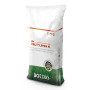 Autumn K 21-0-25 - Fertilizer for the lawn of 25 Kg