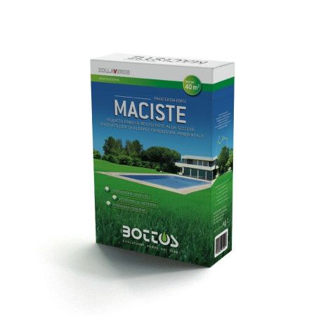 Maciste - Samen für Rasen von 1 kg Bottos - 2