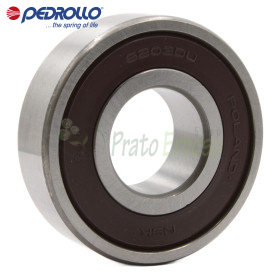 3308 A 2RS-C3 - Cuscinetto a sfera 40x90x36.5 mm Pedrollo - 1