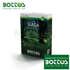 Jade - Seeds for lawn 1 Kg Bottos - 2