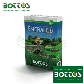 Smeraldo - Sementi per prato da 1 kg