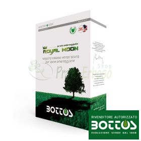Royal Moon – 1 kg Rasensamen