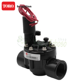 TPV100BSP - 1"-Magnetventil