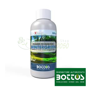 Wintergreen 500 ml - Colorante verde per prato di macroterme