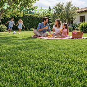 Famiglia al picnic su Prato CLASSICO verde e folto in giardino con bambini che giocano