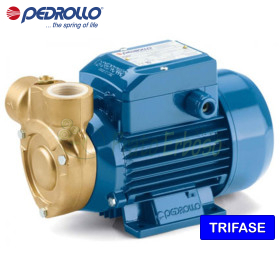 PQ 60-Bs - 0.40 HP three-phase peripheral impeller electric pump Pedrollo - 1 PQ 60-Bs - 0.40 HP three-phase peripheral impeller electric pump Pedrollo - 1