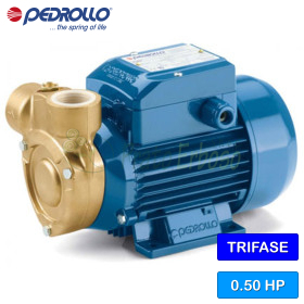 PQ 60-Bs - Electric pump with three-phase peripheral impeller Pedrollo - 1