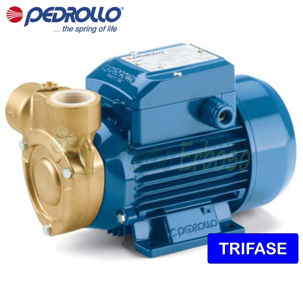 QB60/QB70/QB80 Petit électrique Périphérique Propre Eau Pompe