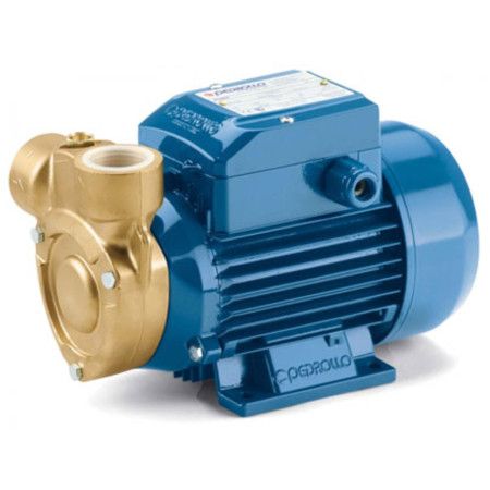 PQ 60-Bs - Electric pump with three-phase peripheral impeller Pedrollo - 1