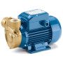 PQ 60-Bs - Pompă electrică cu rotor periferic trifazat de 0,50 CP Pedrollo - 1