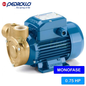 PQm 65-Bs - 0.75 HP single-phase peripheral impeller electric pump Pedrollo - 1