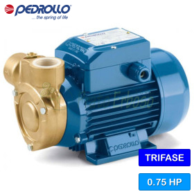 PQ 65-Bs - Pompă electrică cu rotor periferic trifazat de 0,75 CP Pedrollo - 1