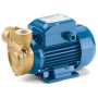 PQm 81-Bs - Electric pump with single-phase peripheral impeller