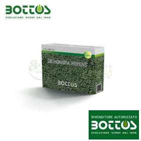 Dichondra Repens - Seminte de gazon 100g