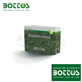 Dichondra Repens - Lawn Seed 100g Bottos - 1