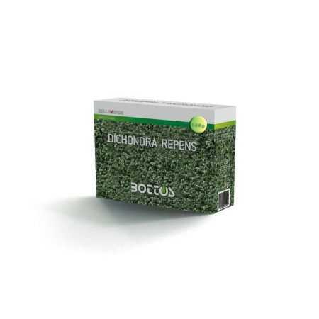 Dichondra Repens - Semillas De Césped 100g