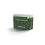 Dichondra Repens - 1 kg de graines de gazon