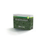 Dichondra Repens - 1 kg lawn seed Bottos - 2