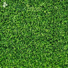 The lawn CLASSIC