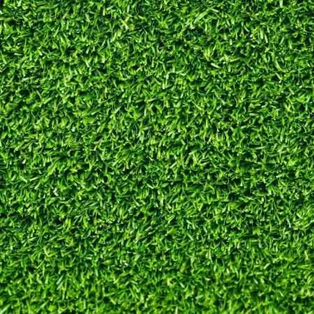 CLASSIC lawn Prato Erboso - 1