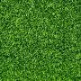 40 m2 of ready-made lawn in rolls Prato Erboso - 4