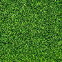 40 square meters of lawn ready in rolls Prato Erboso - 3