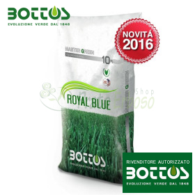 Royal Blue Plus - Samen für Rasen von 10 kg