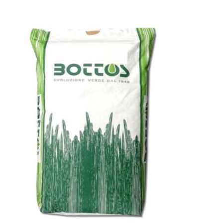 Dichondra Repens - semințe de gazon de 5 kg Bottos - 1